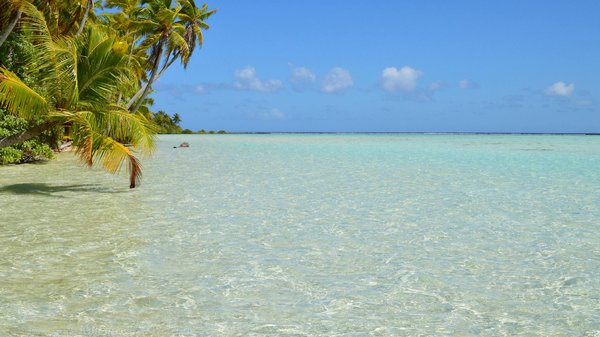 Camping landes : un séjour détente et aquatique au lac sanguinet